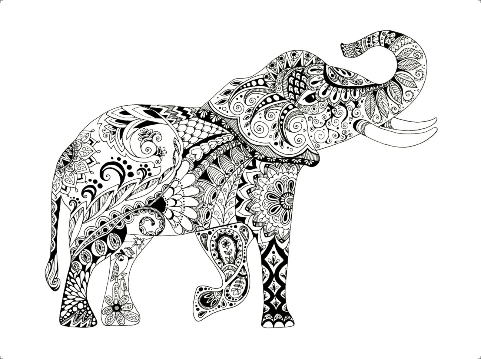 Black and White Elephant Drawing Elephant Art Elephant Etsy