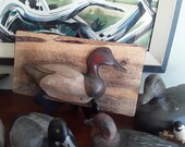 Canvasback Duck Decoy plaque on barn wood