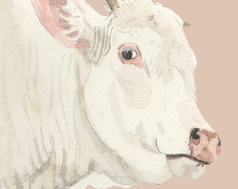Original Watercolor Painting Braham Bull This is Not a Print - Etsy