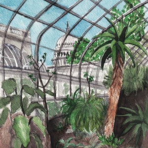 Impression d'art aquarelle jardin botanique des États-Unis, aquarelle imprimée Washington DC, impression d'art Washington DC, art mural Washington DC, Capitole des États-Unis