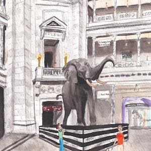 Smithsonian Museum Of Natural History Watercolor Art Print, Washington DC print watercolor, washington dc art print, washington dc wall art