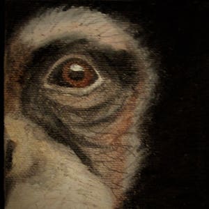 Alma de un chimpancé, DESCARGA DIGITAL, chimpancé imprimible, arte mural de chimpancé, impresión de chimpancé, arte de chimpancé, pintura de chimpancé