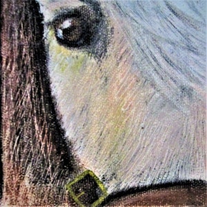 Soul of a Horse | Digital Download, Horse art print, Printable wall art, horse print, horse wall art, horse painting, animal portrait
