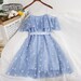 Daisy Embroidered Babydoll Dress Sweet Princess Fairy Dress Sheer Mesh Tulle Dress Cute Kawaii Spring Summer Cottagecore