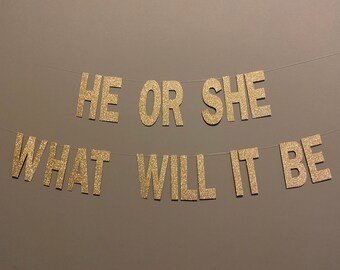 He Or She What Will Etsy He Or She What Will Etsy