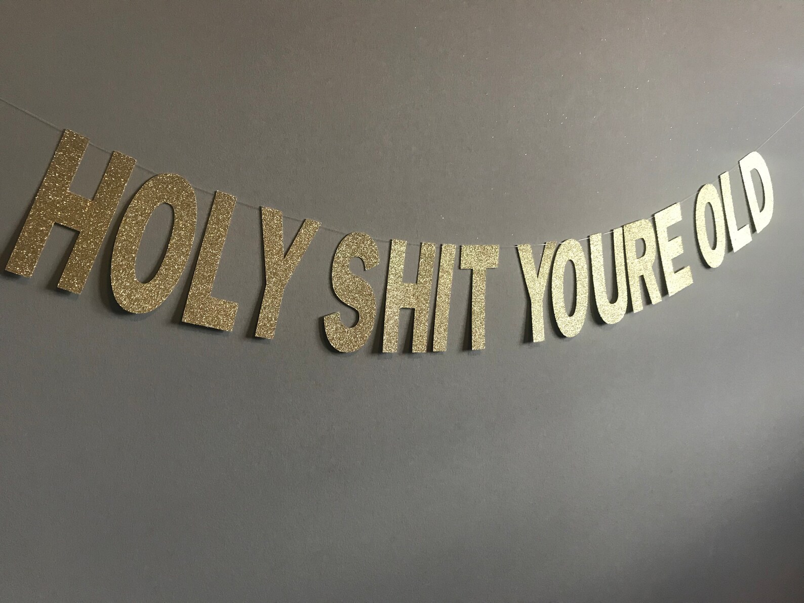 Holy Shit Youre Old Banner 30th 40th 50th 60th 70th 80th | Etsy