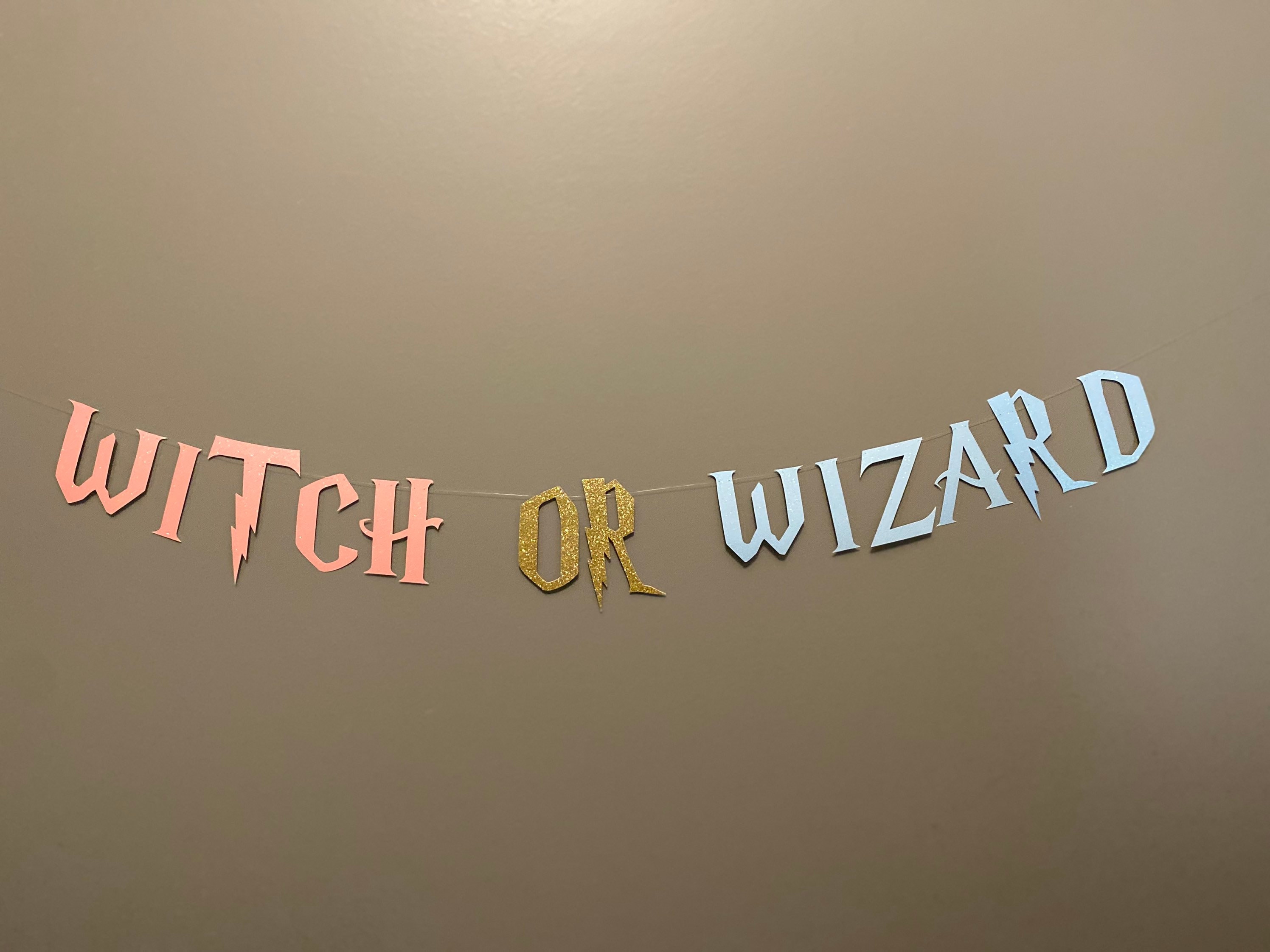 Harry Potter Baby Shower Banner Little Muggle or Little Wizard