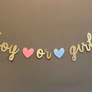 BOY OR GIRL banner, Gender reveal decorations, Gender reveal ideas, Boy or Girl sign, Boy or Girl, Gender reveal decor, Gender reveal banner