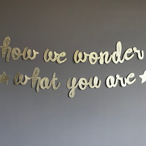 Banderole de révélation de genre scintillante « How We Wonder » avec étoiles