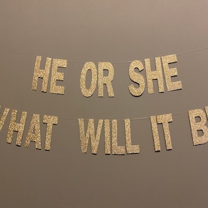Glitter &#39;He or She&#39; Gender Reveal Banner