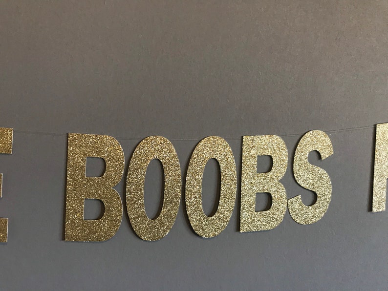 Breast Cancer Bachelor Banner Bachelorette Banner X-Rated Decor Bachelorette Party Banner Same Boobs Forever Lesbian Banner Lesbian