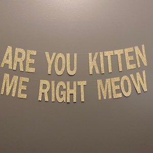 Are You Kitten Me Right Meow Banner, Kitten me right meow, meow banner, Kitty Banner, Kitten Party, 1st Birthday | Cat Party | Kitty