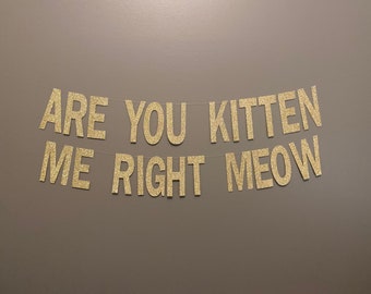 Are You Kitten Me Right Meow Banner: Glitter Cat Party Decor