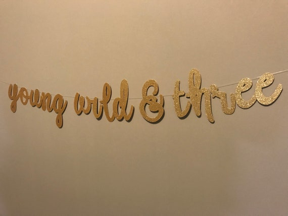 Young Wild & Three Banner, young wild and three, 3rd Birthday Party Decor, 3rd birthday banner, third birthday banner, 3rd birthday decor