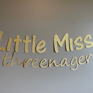 Little Miss Threenager Birthday, Threenager Banner, Threenager Party, 3rd Birthday Party, Wild and Three, 3rd Birthday Decorations, 3rd Bday