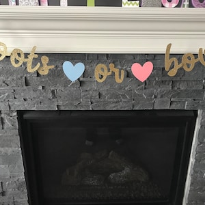 Boots or Bows Gender Reveal Banner: Glitter Party Decor