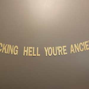 Funny Adult Birthday Banner: Glitter Cardstock 'Fucking Hell You're Ancient'