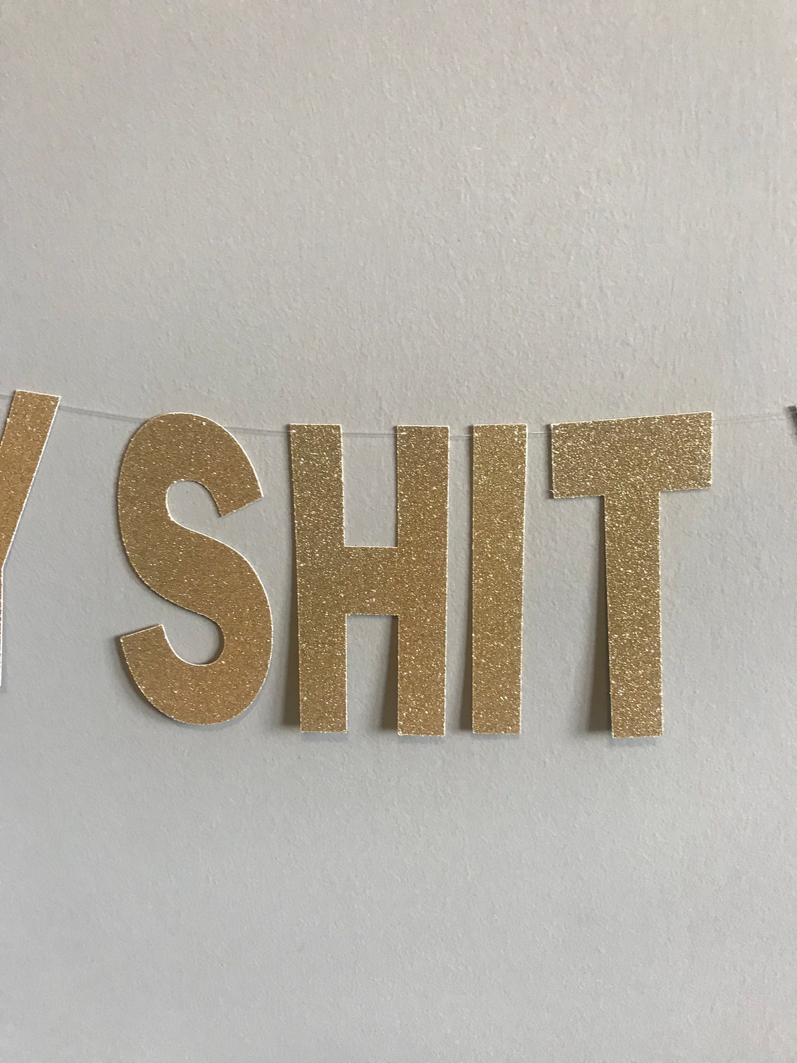 Holy Shit Youre Old Banner 30th 40th 50th 60th 70th 80th | Etsy