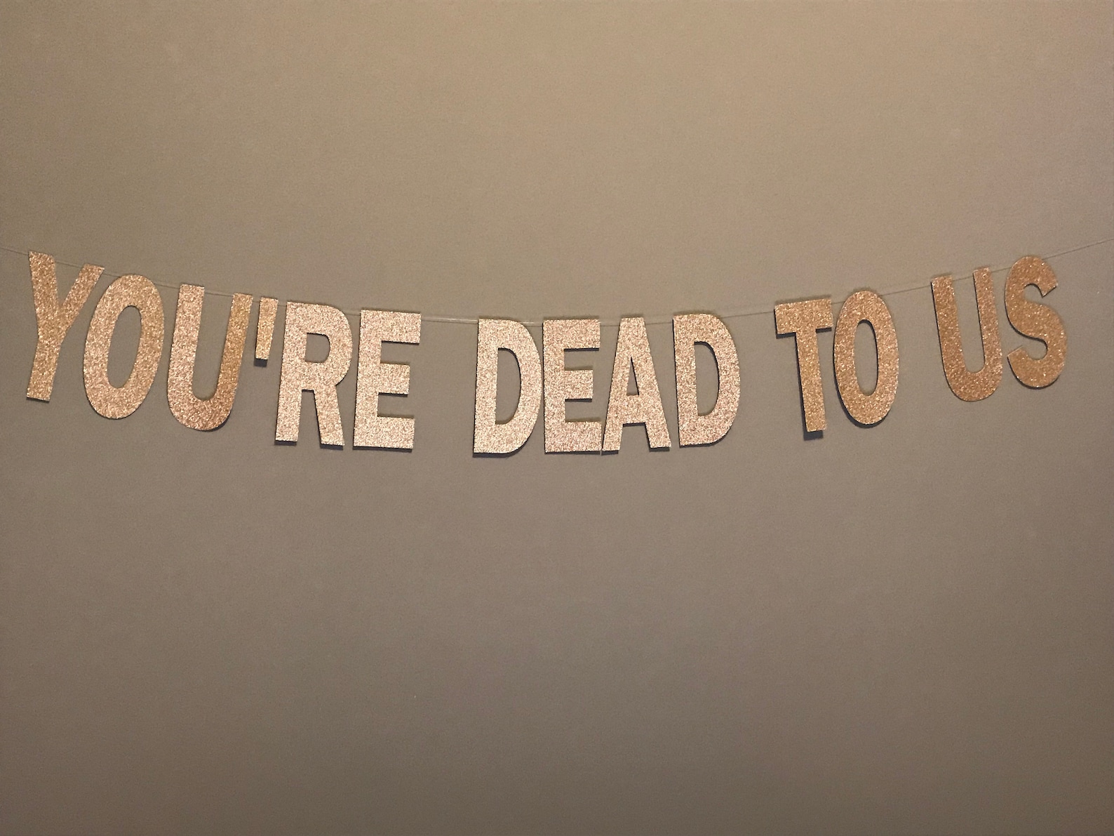 You're Dead to Us You're Dead to Us Banner Funny | Etsy