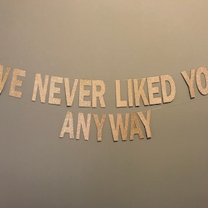 We Never Liked You Anyway Glitter Banner: Rude Retirement, Divorce Party