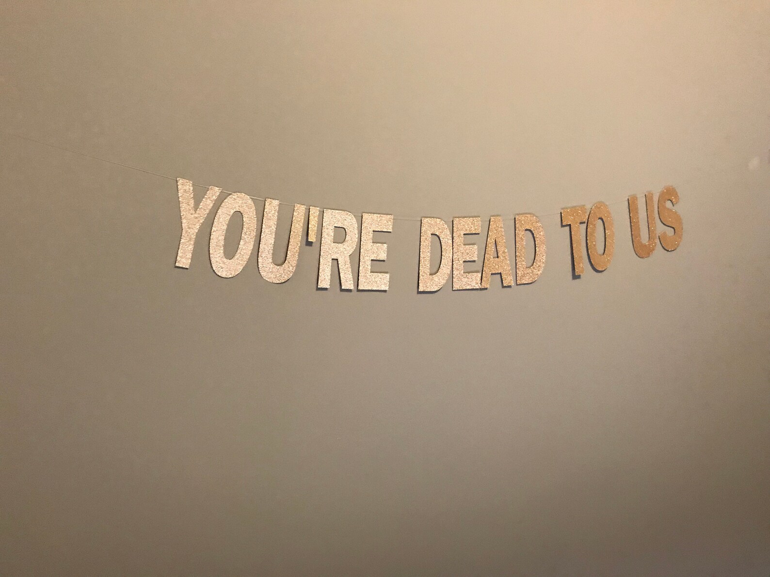 You're Dead to Us You're Dead to Us Banner Funny | Etsy
