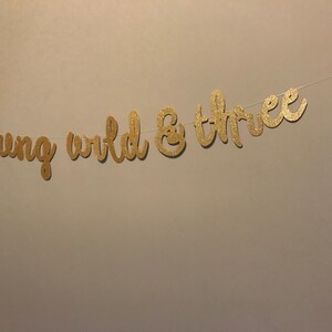 Puede incluir: Pancarta de purpurina dorada con el texto "young wild & three".