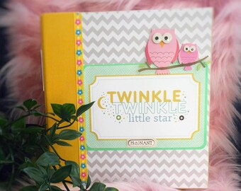 Pregnancy Scrapbook, Scrapbook Album, Pregnancy Journal, Pregnancy, Baby Shower Gifts, Pregnancy book, Personalized Pregnancy Scrapbook