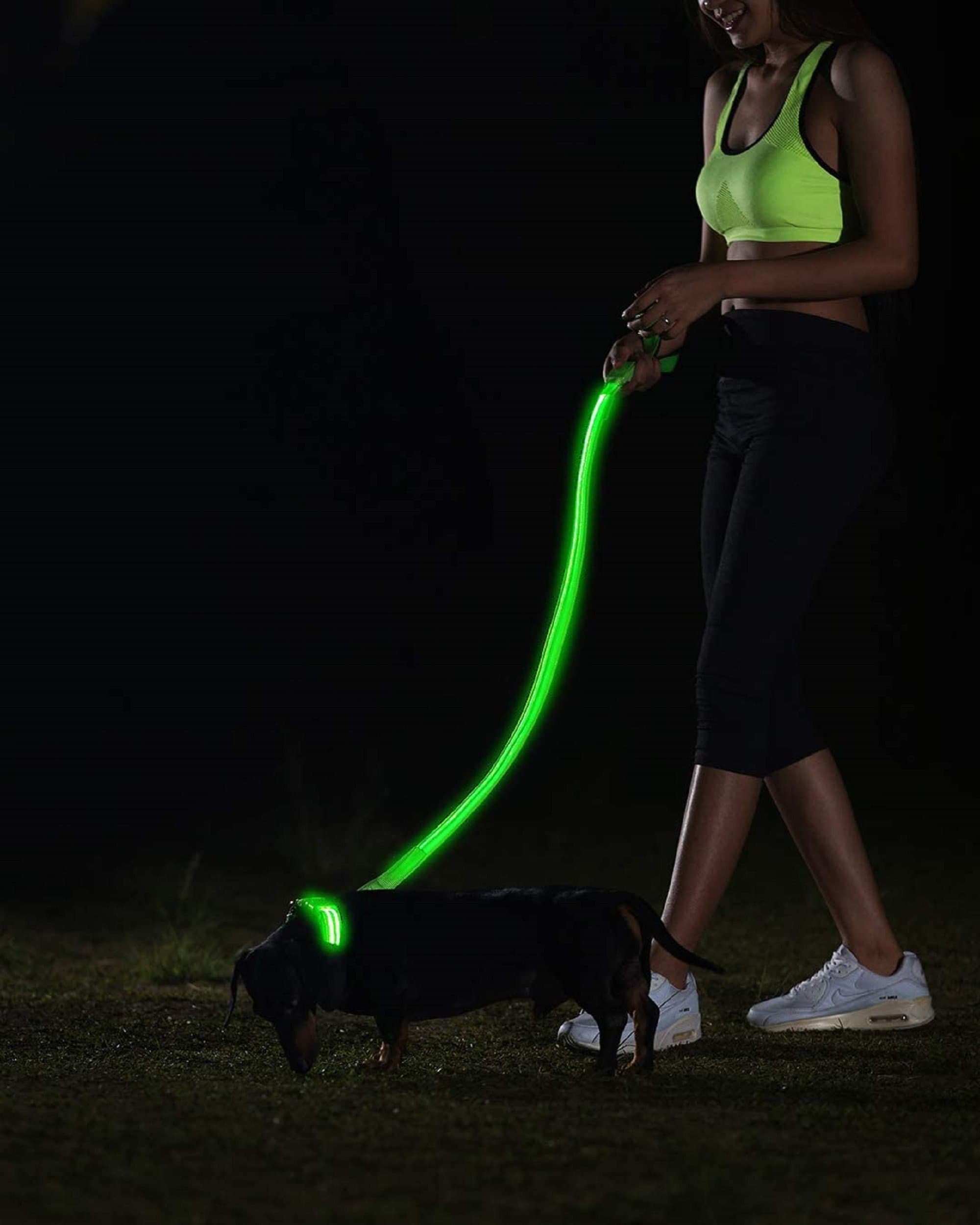 LED Dog Leash With USB Rechargeable Bright Flashing free Etsy