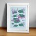 Frogs in the pond illustrated print - Available in A6, A5 and A4 
