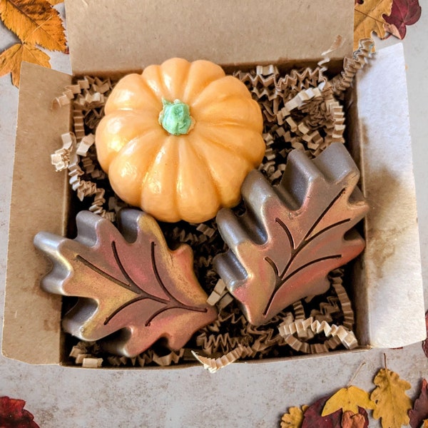 Thanksgiving Hostess Gift, Soap Gift Set, Fall Soap, Pumpkin Soap, Farmhouse Soap, Fall Gifts for Her, Fall Housewarming Gift, Soap Gift Box