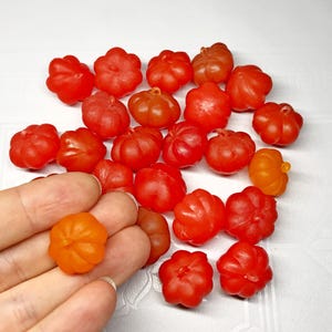 Vintage USSR Plastic Tomato Christmas Ornament Malyutka