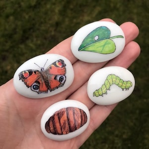 Lebenszyklus, Schmetterling, Steine, Kieselsteine, Sommer, Geschenk, Story Stones, Set, Storytelling Stones, Frühling, Story Sack, Kinder, Leben, Reproduktion