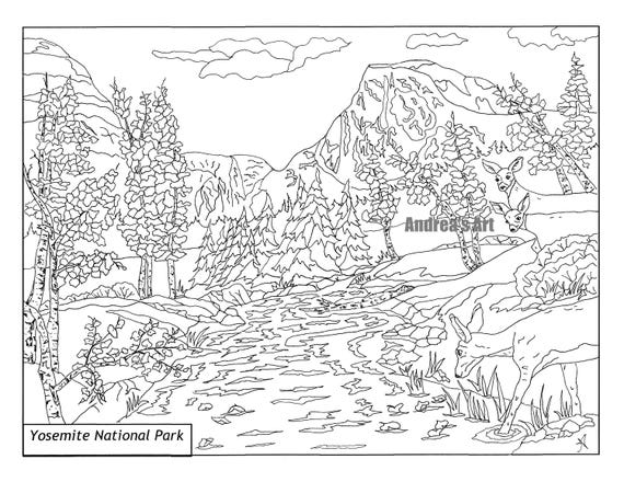 Featured image of post Mule Deer Coloring Page See the presented collection for deer coloring