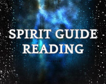 Spirit Guide Reading