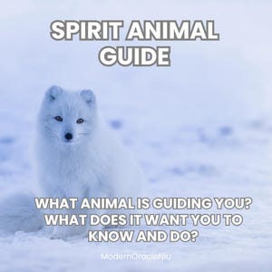 Spirit Animal Guide