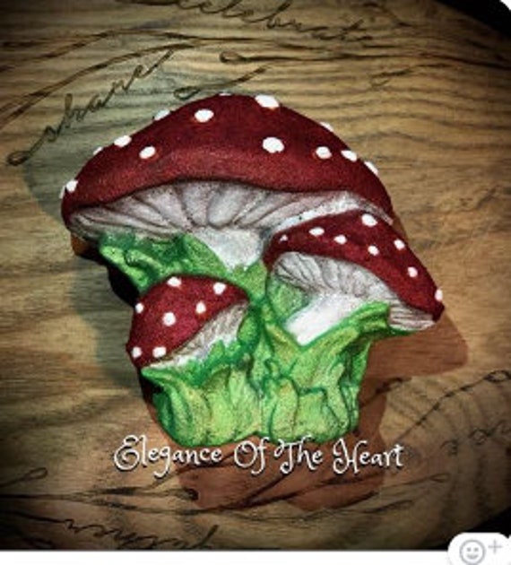 Magical Mushroom Mold