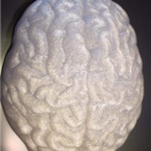 MOLD - Le moule de bombe de bain en plastique Mega Brain