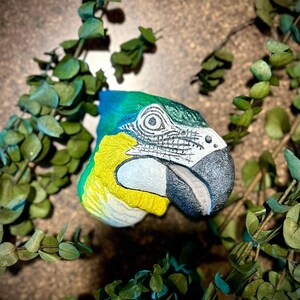 May include: Hand-painted ceramic sculpture of a parrot's head. The parrot has green, blue, yellow, and white feathers. The parrot's eye is black with a white ring around it. The parrot's beak is black.