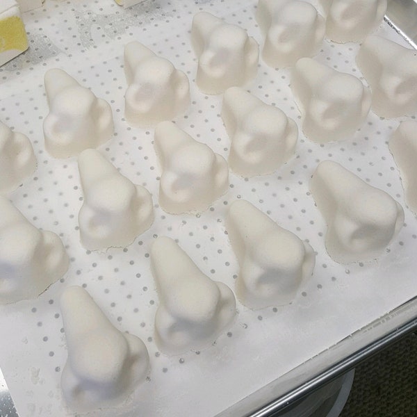 Shower Steamer Mold Etsy Australia