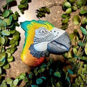 May include: A hand-painted parrot head sculpture in yellow, green and blue colours. The parrot's eye is black with a white pupil. The sculpture is made of a textured material and has a detailed design.