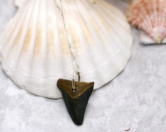 Minimalist Shark Tooth Necklace, Sterling silver Genuine Shark Tooth Necklace, Summer Necklace, Surfer Jewelry, Boho Shark Jewelry, Miocene