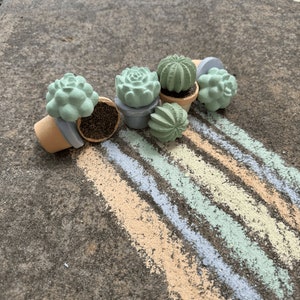 Etsy Design Awards Finalist 2022 TWEE Maya & Siona's Succulents Handmade Sidewalk Chalk A Benefit for KidsGardening image 2