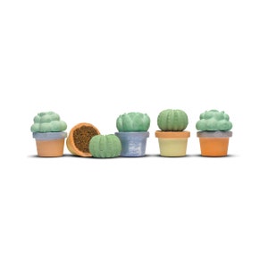 Etsy Design Awards Finalist 2022 TWEE Maya & Siona's Succulents Handmade Sidewalk Chalk A Benefit for KidsGardening image 7