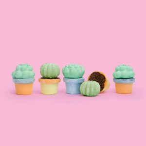 Etsy Design Awards Finalist 2022 TWEE Maya & Siona's Succulents Handmade Sidewalk Chalk A Benefit for KidsGardening image 3