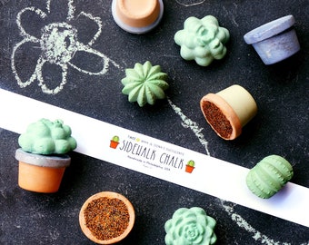 Etsy Design Awards Finalist 2022 - TWEE Maya & Siona's Succulents Handmade Sidewalk Chalk -  A Benefit for KidsGardening