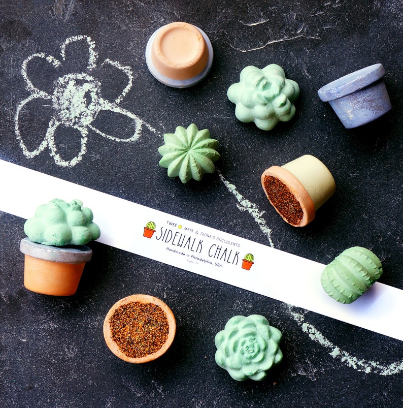 Etsy Design Awards Finalist 2022 TWEE Maya & Siona's Succulents Handmade Sidewalk Chalk A Benefit for KidsGardening image 1