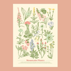 Ilustración de póster de plantas de montaña