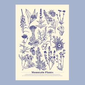 Póster monocromático con ilustración de plantas de montaña