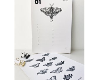 Minimalist illustrated perpetual calendar butterflies and moths (in French)