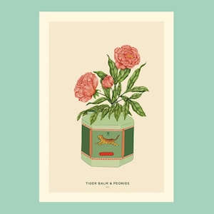 Affiche illustration Baume du Tigre et Pivoines